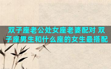 双子座老公处女座老婆配对 双子座男生和什么座的女生最搭配
